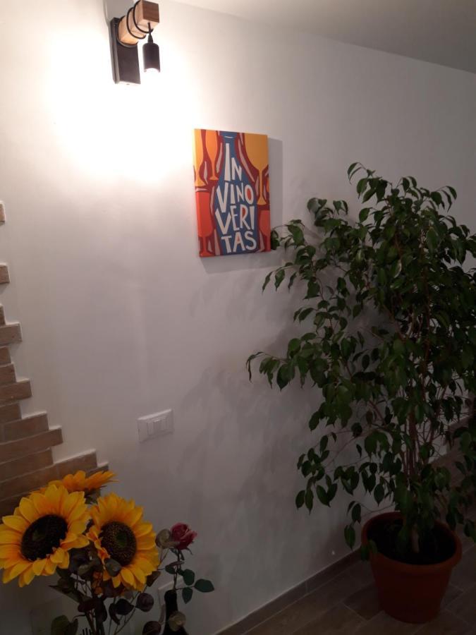 سولمونا In Vino Veritas المظهر الخارجي الصورة