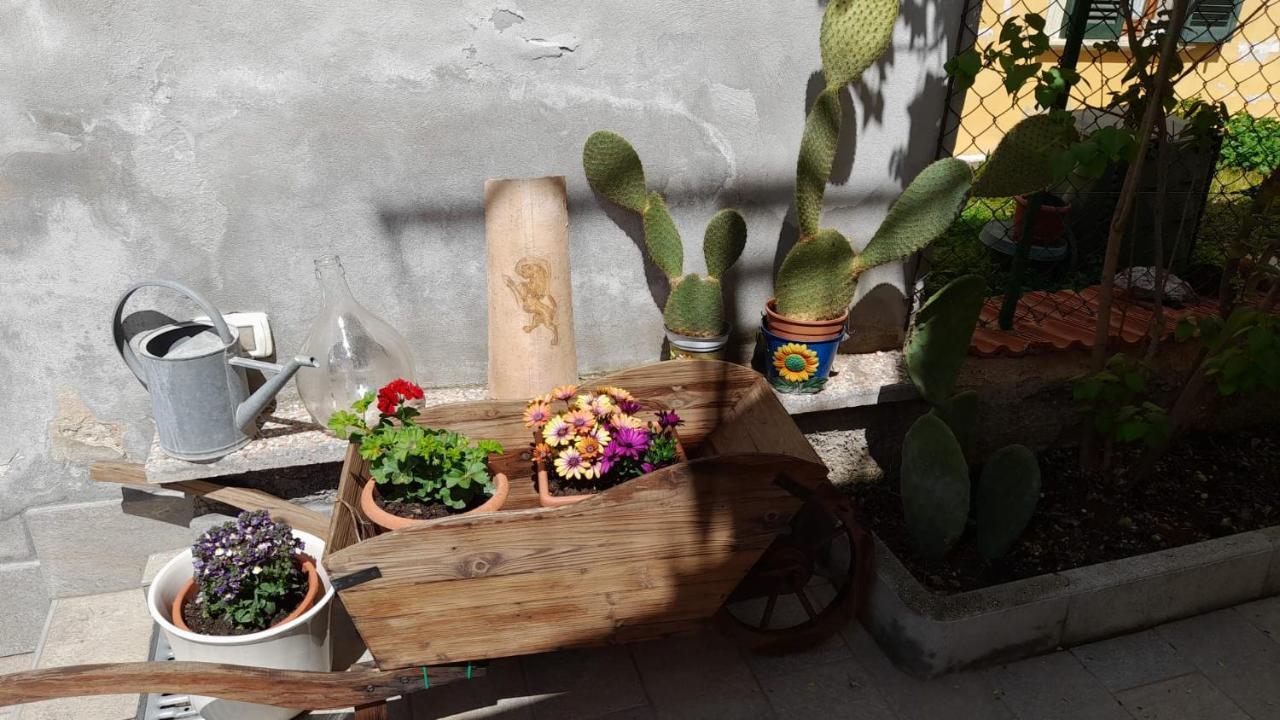 سولمونا In Vino Veritas المظهر الخارجي الصورة