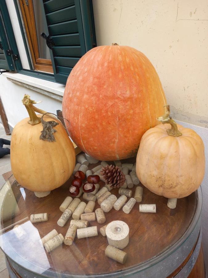 سولمونا In Vino Veritas المظهر الخارجي الصورة